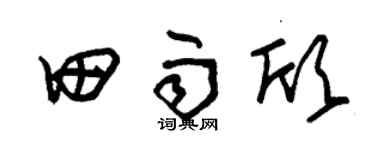 朱锡荣田雨欣草书个性签名怎么写