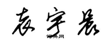 朱锡荣袁宇晨草书个性签名怎么写