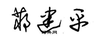 朱锡荣蒋建平草书个性签名怎么写