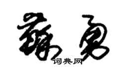 朱锡荣苏勇草书个性签名怎么写