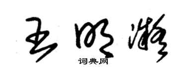 朱锡荣王明凝草书个性签名怎么写