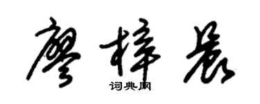 朱锡荣廖梓晨草书个性签名怎么写