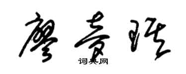 朱锡荣廖梦琪草书个性签名怎么写