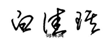 朱锡荣白佳琪草书个性签名怎么写