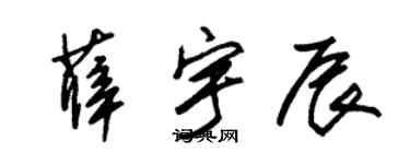 朱锡荣薛宇辰草书个性签名怎么写