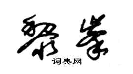 朱锡荣黎峰草书个性签名怎么写