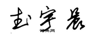 朱锡荣武宇晨草书个性签名怎么写