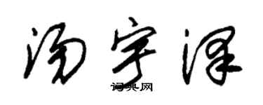 朱锡荣汤宇泽草书个性签名怎么写