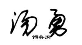 朱锡荣汤勇草书个性签名怎么写