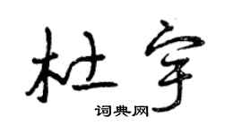 曾庆福杜宇草书个性签名怎么写