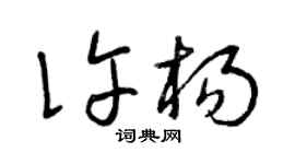 曾庆福许杨草书个性签名怎么写