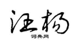 曾庆福汪杨草书个性签名怎么写