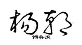 曾庆福杨朝草书个性签名怎么写