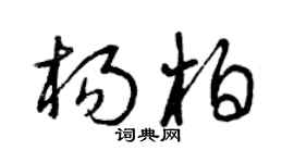 曾庆福杨柏草书个性签名怎么写