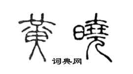 陈声远黄晓篆书个性签名怎么写