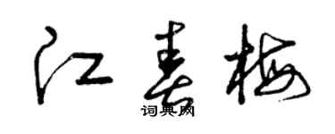 曾庆福江春梅草书个性签名怎么写