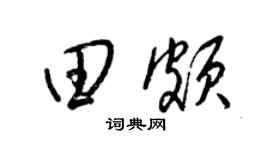 梁锦英田颇草书个性签名怎么写