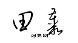 梁锦英田丛草书个性签名怎么写