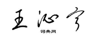 梁锦英王沁宁草书个性签名怎么写