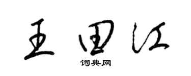 梁锦英王田江草书个性签名怎么写