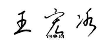梁锦英王宏冰草书个性签名怎么写
