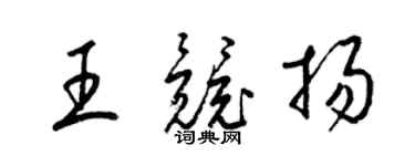 梁锦英王竞扬草书个性签名怎么写