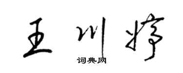 梁锦英王川婷草书个性签名怎么写