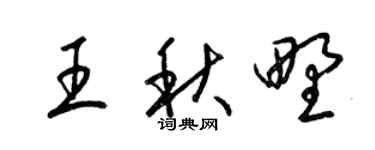 梁锦英王秋野草书个性签名怎么写