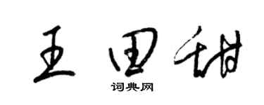 梁锦英王田甜草书个性签名怎么写