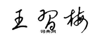 梁锦英王习梅草书个性签名怎么写