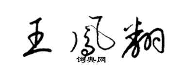 梁锦英王凤翻草书个性签名怎么写