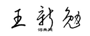 梁锦英王新勉草书个性签名怎么写