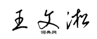 梁锦英王文淞草书个性签名怎么写