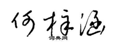 梁锦英何梓涵草书个性签名怎么写