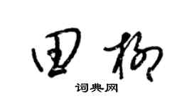 梁锦英田柳草书个性签名怎么写