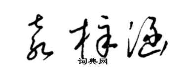 梁锦英袁梓涵草书个性签名怎么写