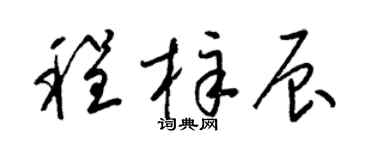 梁锦英程梓辰草书个性签名怎么写