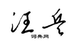 梁锦英汪兵草书个性签名怎么写