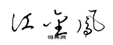 梁锦英江金凤草书个性签名怎么写