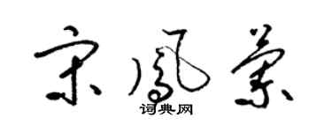 梁锦英宋凤兰草书个性签名怎么写