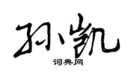 曾庆福孙凯行书个性签名怎么写