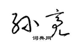 梁锦英孙亮草书个性签名怎么写