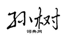 曾庆福孙树行书个性签名怎么写