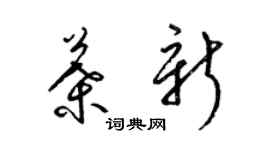 梁锦英叶新草书个性签名怎么写