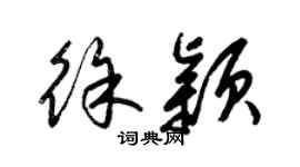 梁锦英徐颖草书个性签名怎么写