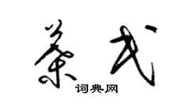 梁锦英叶民草书个性签名怎么写