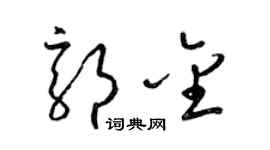 梁锦英郭金草书个性签名怎么写