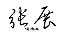 梁锦英张展草书个性签名怎么写