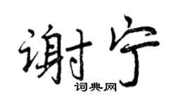 曾庆福谢宁行书个性签名怎么写