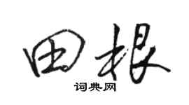 骆恒光田根行书个性签名怎么写